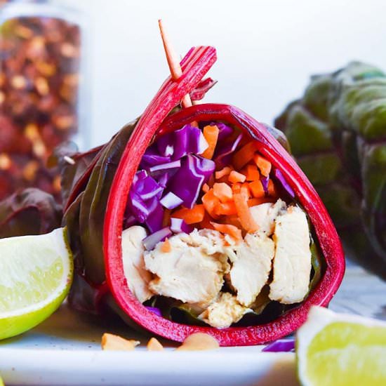 Paleo Wraps
