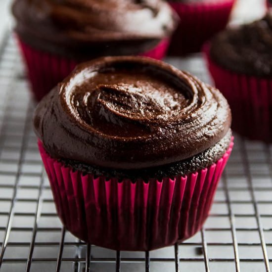 Chocolate Cupcakes
