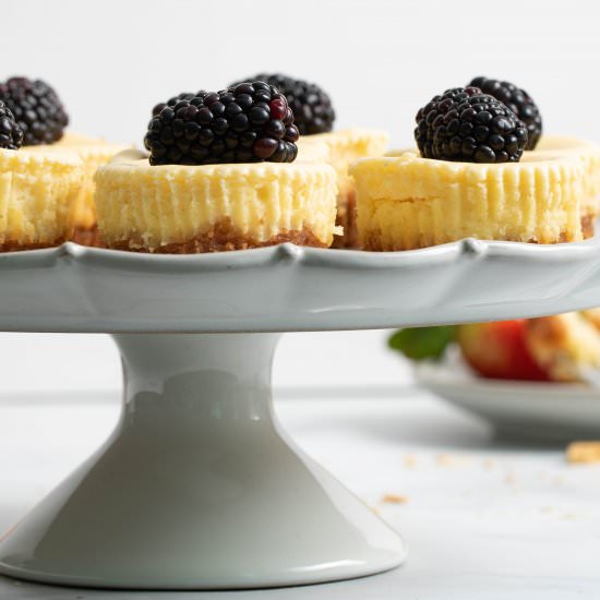 NEW YORK-STYLE CHEESECAKE BITES