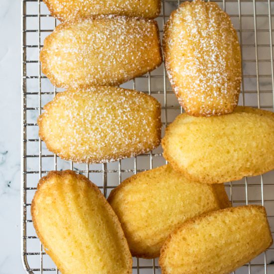 French Madeleines