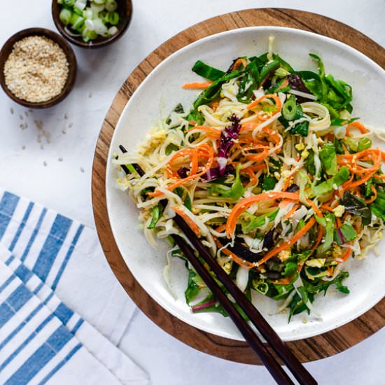 Vegan Somen Noodle Salad