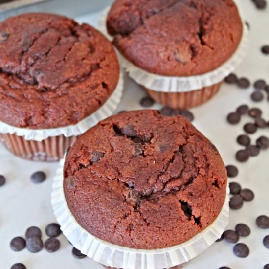 Chocolate Muffins Recipe
