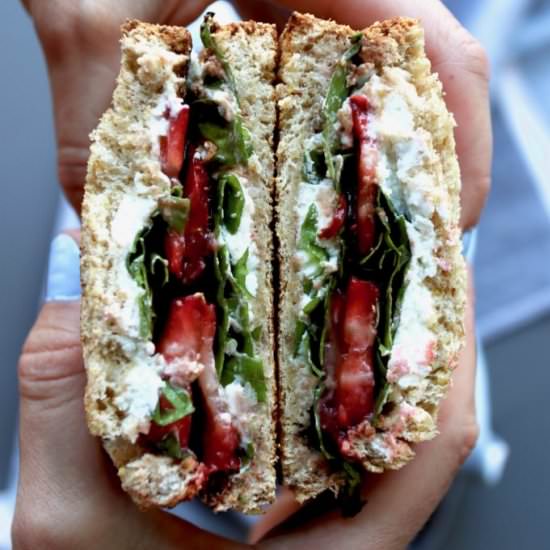 strawberry goat cheese panini