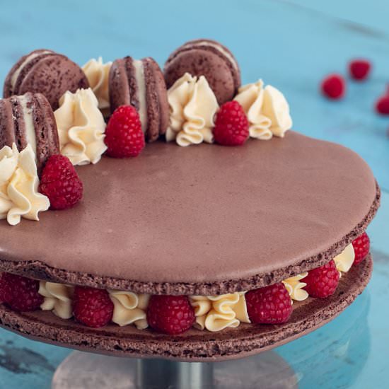 Macaron Cake