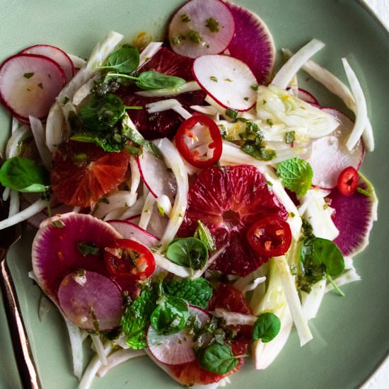 Fennel & Radish Salad