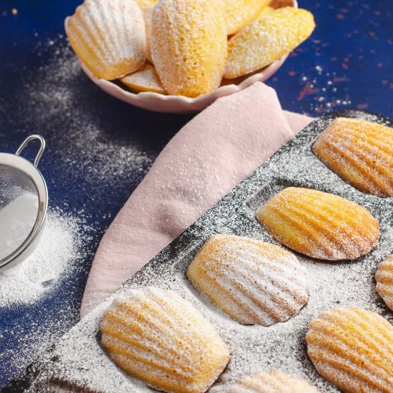 Lemon Madeleines