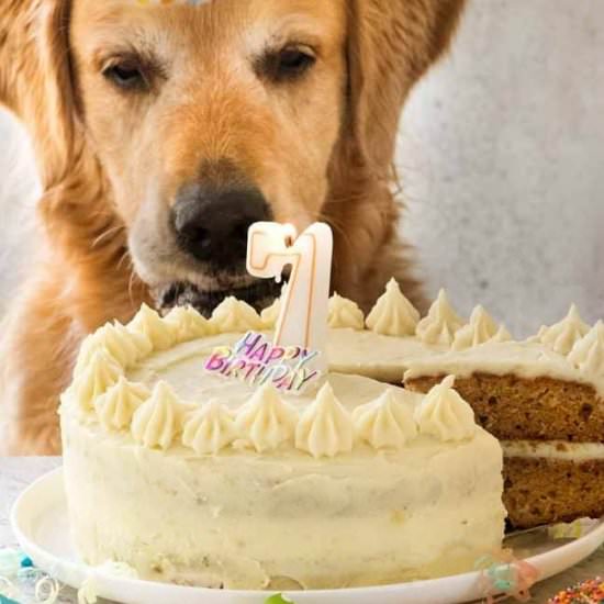 Dog Cake Recipe