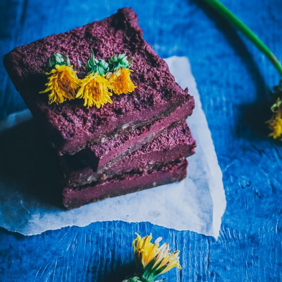 No Bake Dandelion Beet Bars