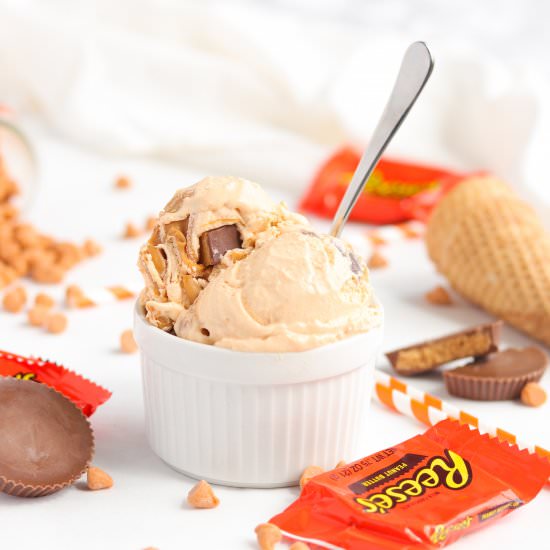 Peanut Butter Butterscotch Ice Cream