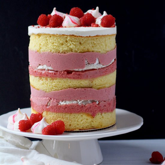 Raspberry Pomegranate Hibiscus