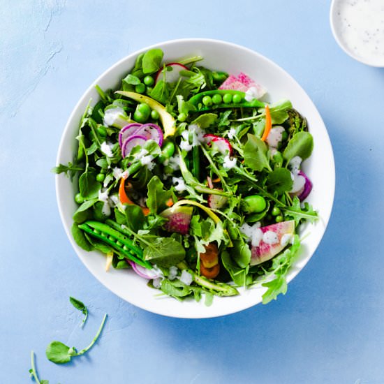 Spring Vegetable Salad