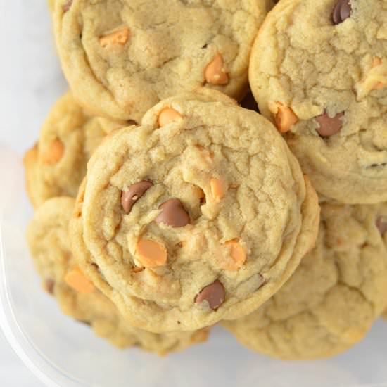 Butterscotch Chocolate Chip Cookies