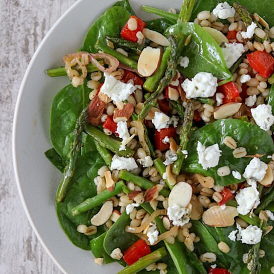 Springtime Barley Salad