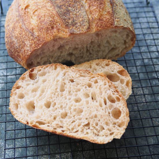 Basic Open Crumb Sourdough Bread