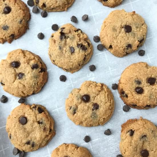 Sugar Free Chocolate Chip Cookies