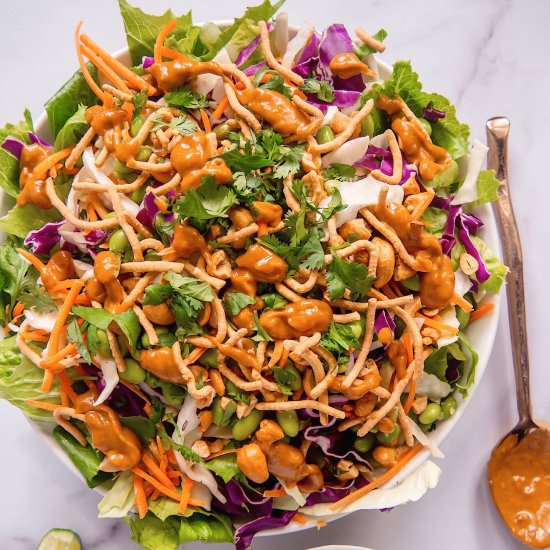 Asian Salad & Spicy Peanut Dressing