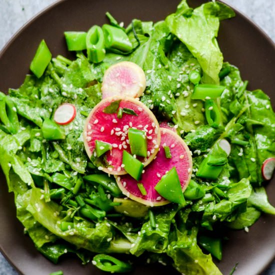 Salad with Sesame Miso Vinaigrette