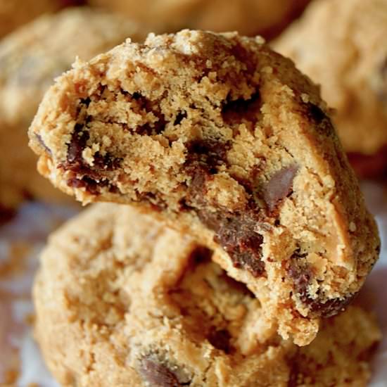 Peanut Butter Chocolate Chip Cookie