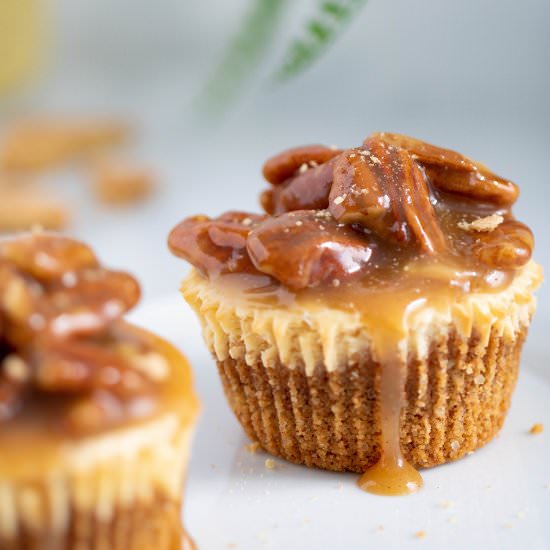 Delicious Pecan Pie Cheesecake Bite