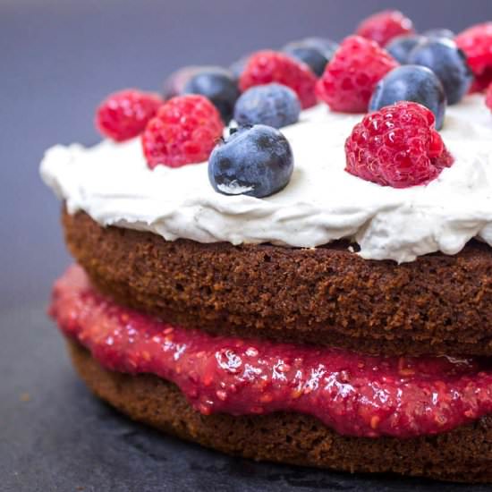 Vegan Berry Sponge Cake (vegan/gf)