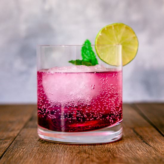 Blueberry Gin and Tonic
