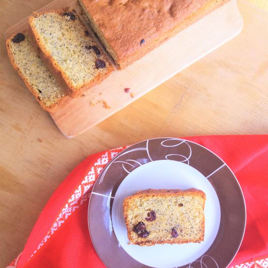 Poppy Seed Cranberry Bread ‘Babka”