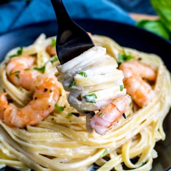 SHRIMP ALFREDO PASTA