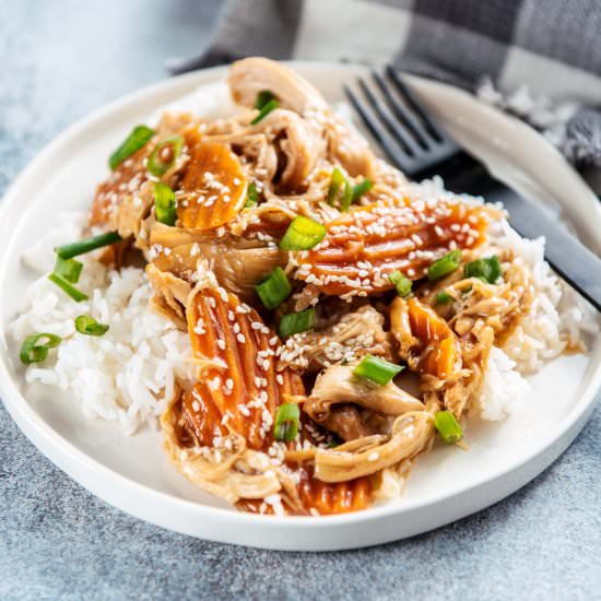 Instant Pot Teriyaki Chicken