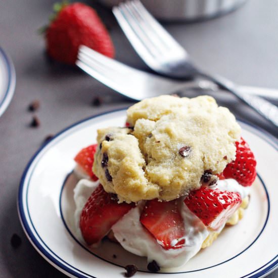 Chocolate Chip Strawberry Shortcake