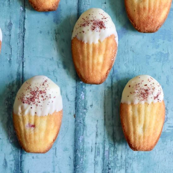 White Choc Raspberry Madeleines