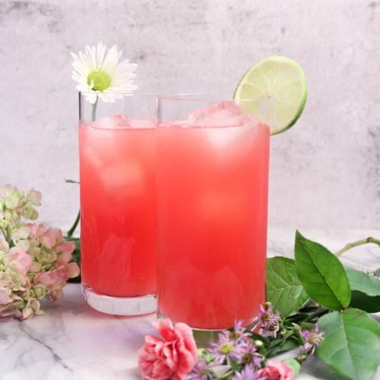 Watermelon Agua Fresca