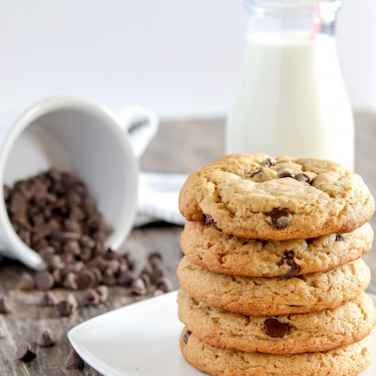 Peanut Butter Banana Chocolate Chip