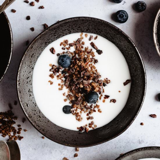 HOW TO MAKE VANILLA YOGURT