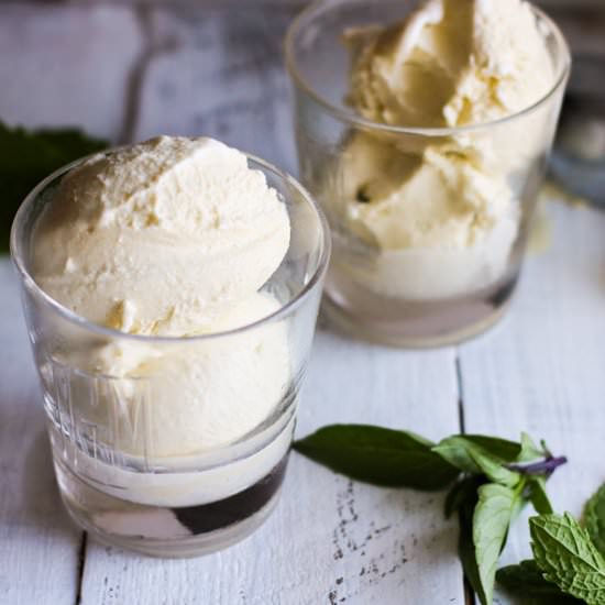 Mint Thai Basil Gelato