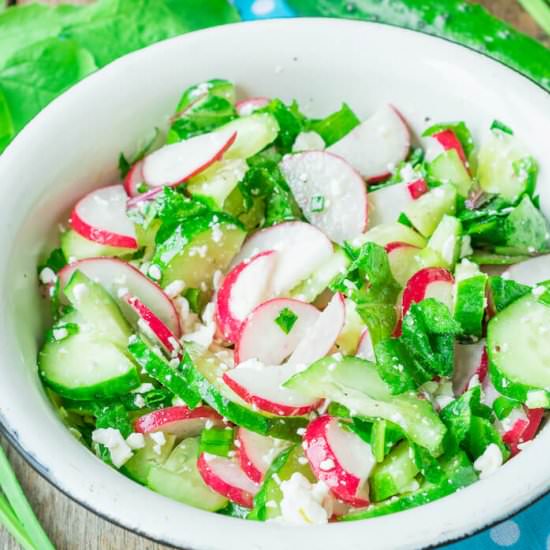 Cucumber Radish Salad