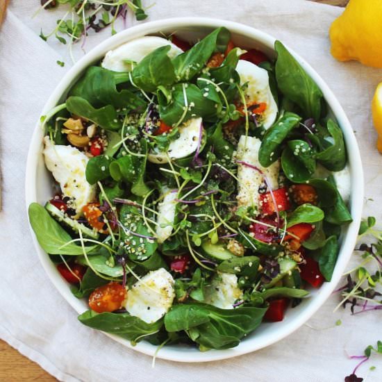 Garden mozzarella di bufala salad