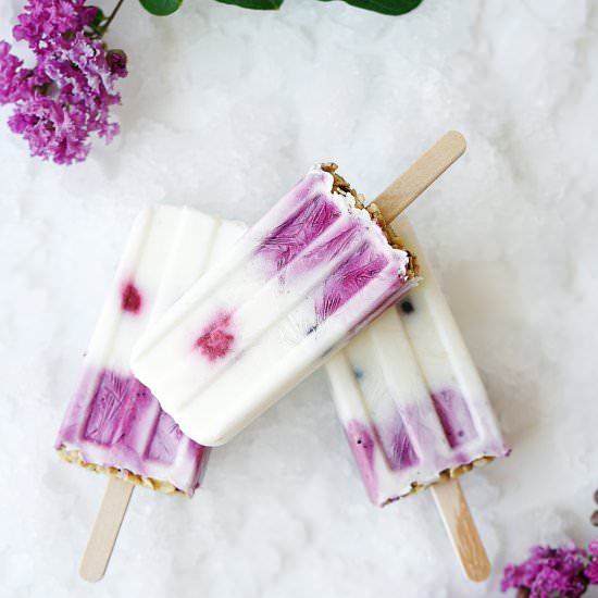 Berry Yogurt Popsicles