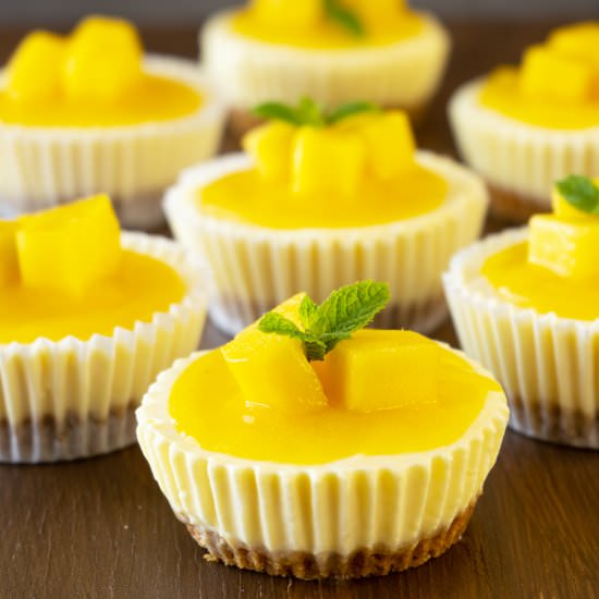Mini Mango Lassi Cheesecakes