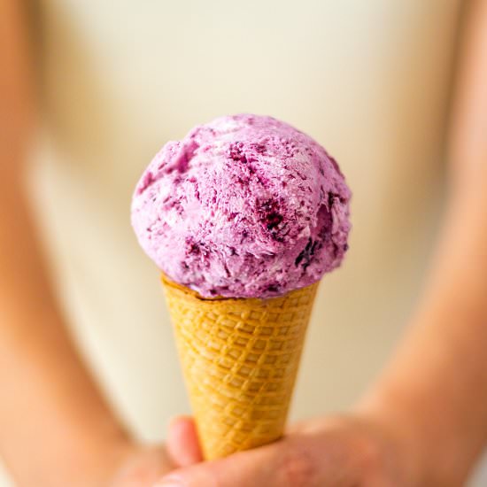 blueberry ice cream