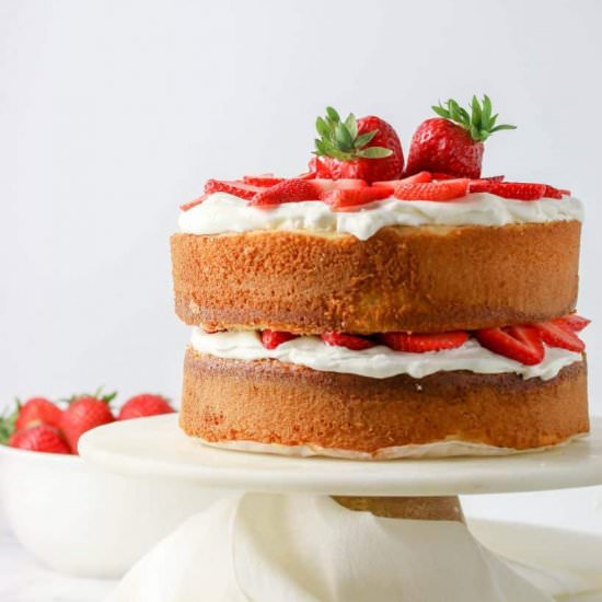 Vanilla Sponge Cake