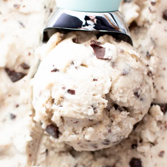 Coconut Chocolate Chip Ice Cream