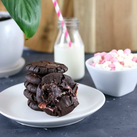 Gluten Free Hot Chocolate Cookies