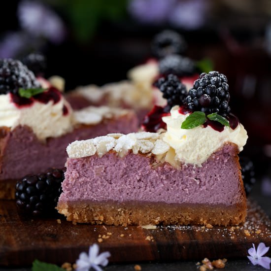 Blackberry Feta Cheesecake