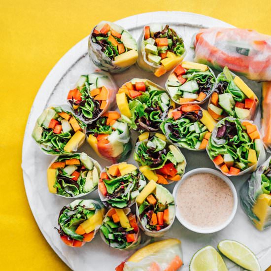 Vegan Vietnamese Spring Rolls