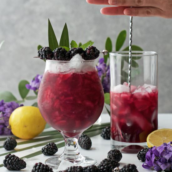 Blackberry Rum Swizzle