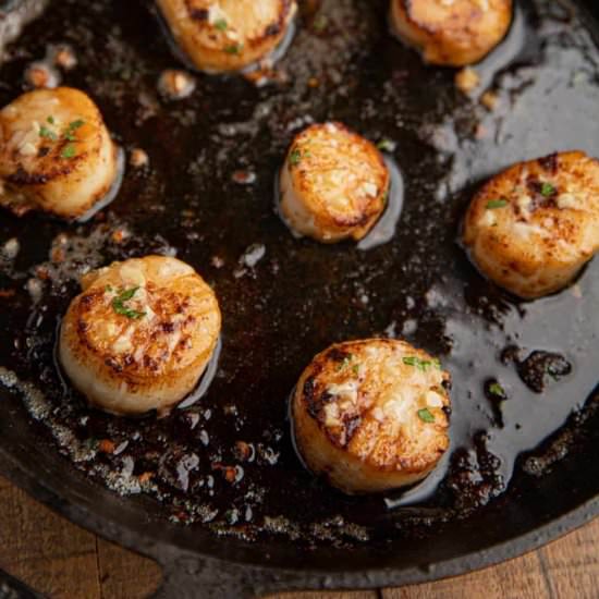Pan Seared Scallops