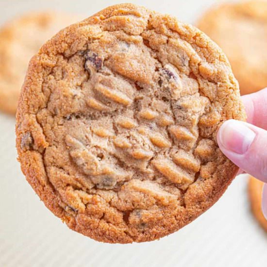 Peanut Butter Chocolate Chip Cookie