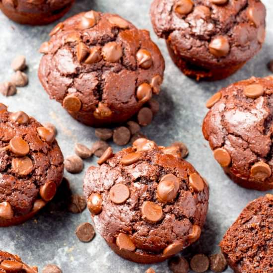 Double Chocolate Muffins
