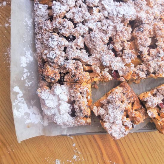 Fruit and Musli Shortbread Bars