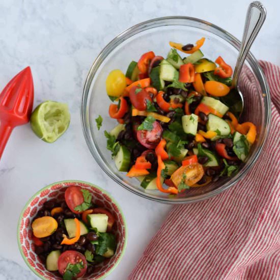 Skinny Cucumber and Tomato Salad